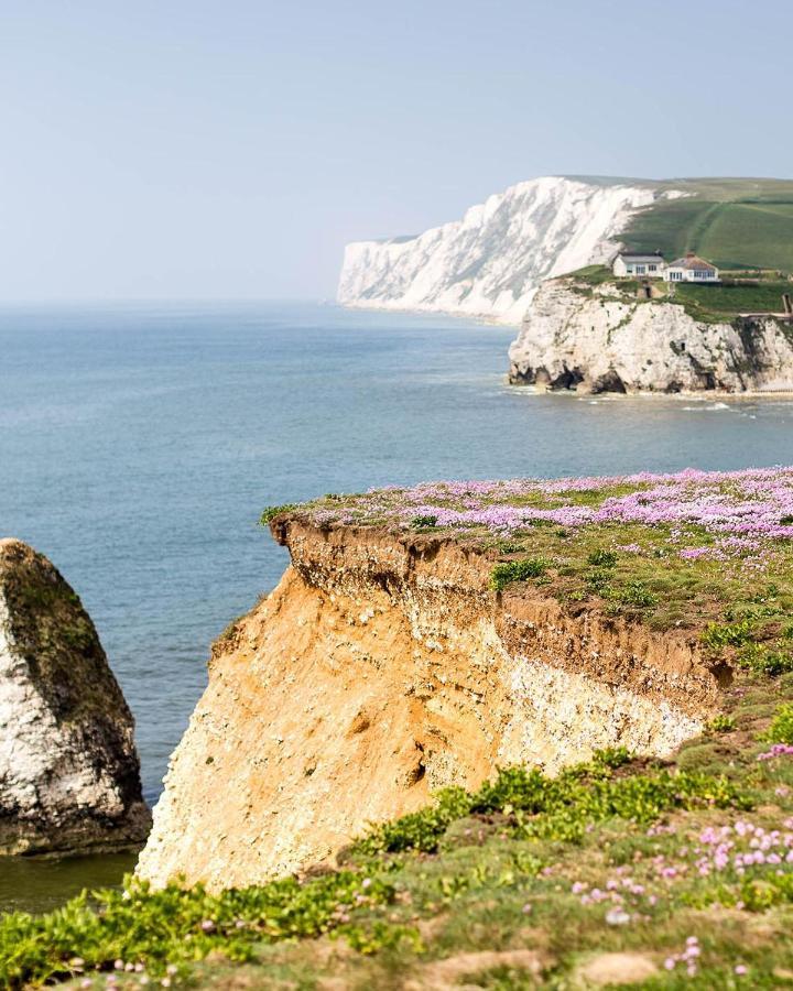 فندق "Trinity" At Whitecliff Bay Isle Of Wight- Yarborough View 4 بيمبريدج المظهر الخارجي الصورة